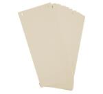 Paquet 100 fiches intercalaires horizontales unies perforées Forever - 105x240mm