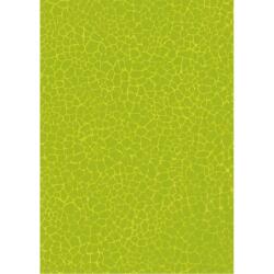 531 - Pochette 20 feuilles Décopatch - Vert
