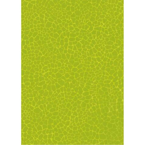 531 - Pochette 20 feuilles Décopatch - Vert