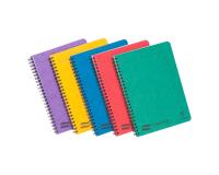 Notemaker Europa cahier reliure intégrale A5 120 pages détachables petits carreaux - Assortiment A