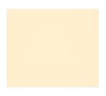 Tulipe rame 50F A3 160g