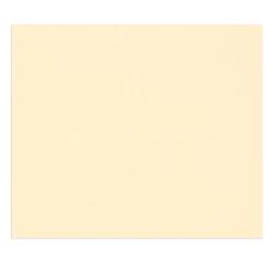 Tulipe rame 50F A3 160g