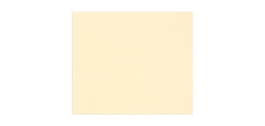 Tulipe rame 50F A3 160g