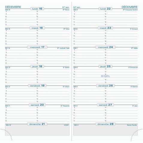 Recharge Semainier SL 17 9x17,5 cm Quinzainier Janvier à Décembre 2026