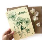 Coffret créatif, Presse fleurs et herbier - Multicolore