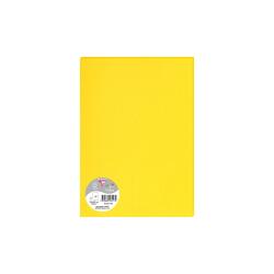 Feuille Pollen 210 x 297 mm 120 g/m2 - Paquet de 5
