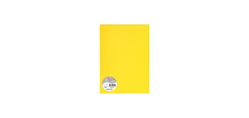 Paquet de 5 feuilles Pollen 210x297mm 120g/m2