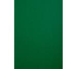 Forever Pak van 100 inbindkaften 270g/m2 voor A4 bindrug.