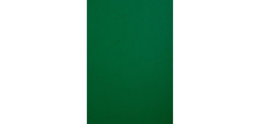 Forever Pak van 100 inbindkaften 270g/m2 voor A4 bindrug.