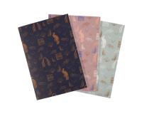 CARNET A6 LALO SPECIAL 100 ANS 48 PAGES LIGNEES