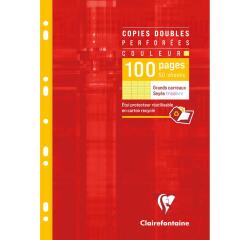 Copies doubles de couleur sous étui A4 100 pages perforées grands carreaux