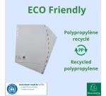 Intercalaires imprimés mensuels PP recyclé gris Janvier-Décembre - 12 positions - A4 - Gris