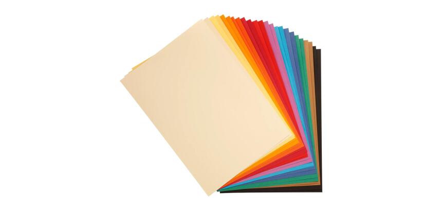 Tulipe rame 24F 50x65cm 160g