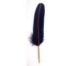 PLUME D'OIE+PLUME METAL SUR BROCH