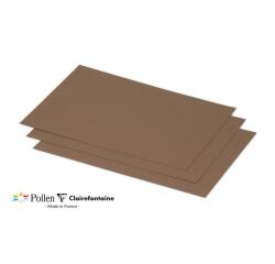 Paquet de 25 cartes simples Pollen 158x222mm 210g/m²
