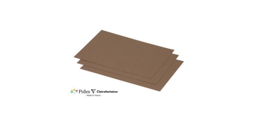 Paquet de 25 cartes simples Pollen 158x222mm 210g/m²