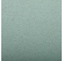 Ingres Pastel paquet 25F 50x65cm 130g