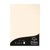 Etui de 50 feuilles Pollen 210x297mm 120g/m2 - Ivoire