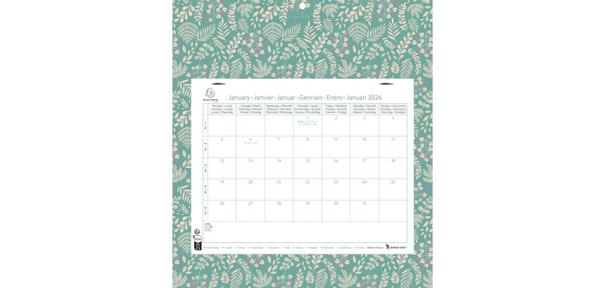 Calendrier mensuel EasyCal Mini Labo avec feuillets détachables 24 x 18 cm agrafé sur plaque cartonnée imprimée 27,5 x 30,5 cm 2026 - Visuels assortis