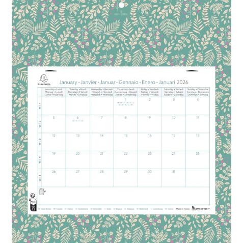 Calendrier mensuel EasyCal Mini Labo avec feuillets détachables 24 x 18 cm agrafé sur plaque cartonnée imprimée 27,5 x 30,5 cm 2026 - Visuels assortis