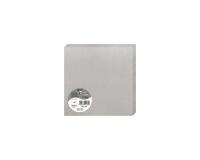 Paquet de 25 cartes pliées Pollen 160x160mm 210g/m2 - Argent