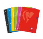 Cahier à spirale Mimesys A4+ 160 pages détachables perforées 4 trous petits carreaux et cadre en-tête couverture carte souple - Assortis