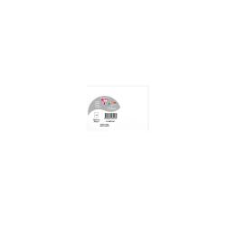 Sachet de 5 cartes simples Pollen 70x95 210g/m2