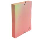 Boite de classement à élastiques dos 40mm PP Candy Tidy - Couleurs assorties