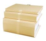 Chemises dos extensible format folio papier mastic - Mastic