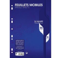 Feuillets mobiles sous film 7000 A4 100 pages perforées grands carreaux 90 g