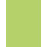 PAPIER AFFICHE PEINTE, Paquet de 25 feuilles 90g/m2 au format 60x80cm - Vert pomme