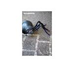 Araignée 100cm - Kraft