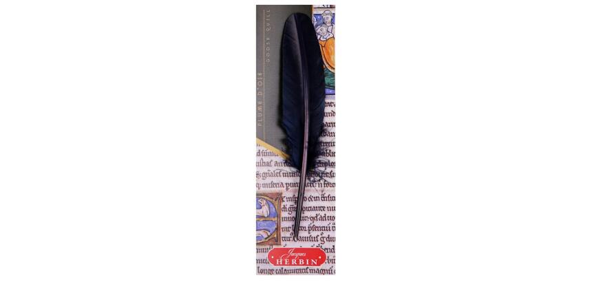 Plume d'oie taillée sur broche