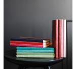 Rhodiarama carnet souple A5 160 pages ligné papier ivoire 90g fermeture élastique - Touche de rose