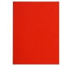 FLASH 220 Pak van 100 mappen -100%gerecycleerd - 24x32cm