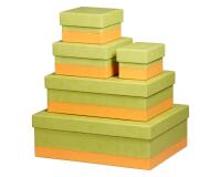 Rhodiarama set 5 boîtes gigognes simili cuir italien 44x34x16 cm - Anis