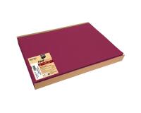 Box of 100 spunbond placemats, plain - Format 30x40cm