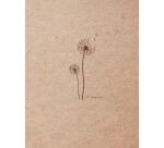 Flying Spirit carnet cousu 60F 16x21cm 90g - Kraft brun