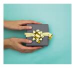 Plat.18 rollos 10mx10mm Glit.or/arg/noir - Assortiment