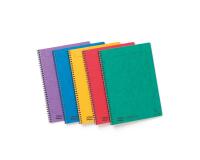 Notemaker Europa cahier reliure intégrale A4 120 pages détachables petits carreaux - Assortiment A