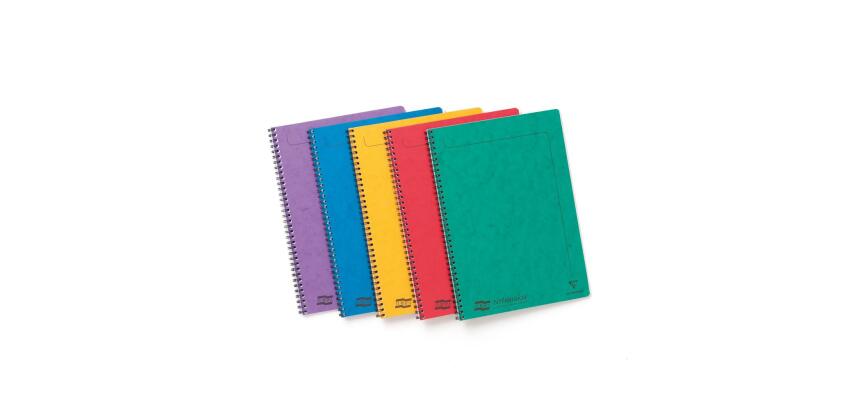 Notemaker Europa cahier reliure intégrale A4 120 pages détachables petits carreaux - Assortiment A