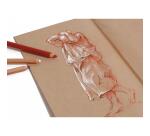 Kraft vergé rame 25F 50x70cm 120g