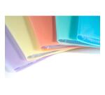 Display book Chrom. Pastel A4 40 pockets