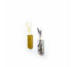 Mini-kit adulte soliflores - Kraft