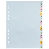 Intercalaires carte pastel 170g Forever imprimé alphabétique 20 positions - A4+ - Couleurs assorties pastel