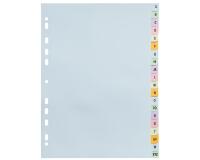 Intercalaires carte pastel 170g Forever imprimé alphabétique 20 positions - A4+ - Couleurs assorties pastel