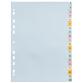 Forever Pastel Card Dividers Printed A-Z 170g A4 - Pastel colours assorted