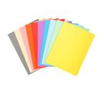 Paquete de 50 Subcarpetas Forever® 170 g/m2 Exacompta