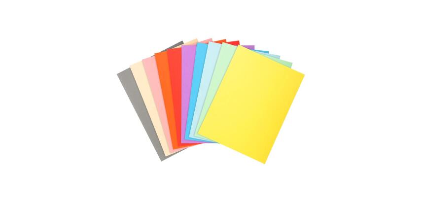 Paquete de 50 Subcarpetas Forever® 170 g/m2 Exacompta