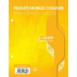 Feuillets mobiles sous film 7000 17x22 cm 100 pages perforées 2 trous grands carreaux 80 g